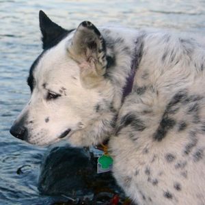 Meet your Posher, Austin